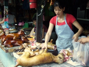 Dog meat butcher